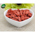 Bayas goji baya goji frutas para la venta goji bayas plantas para la venta con jiangnanhao